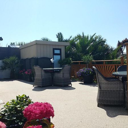 New Quay Meadow View Apartments מראה חיצוני תמונה